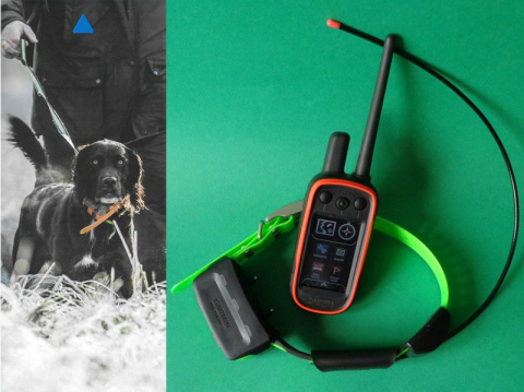 Alpha 100 z obrożą Garmin TT 15 (śledzenie + sygnalizacja świetlna za pomocą diody + kontrola: wibracja, dźwięk, stymulacja) Alpha 100 z obrożą Garmin TT 15 (śledzenie + sygnalizacja świetlna za pomocą diody + kontrola: wibracja, dźwięk, stymulacja)