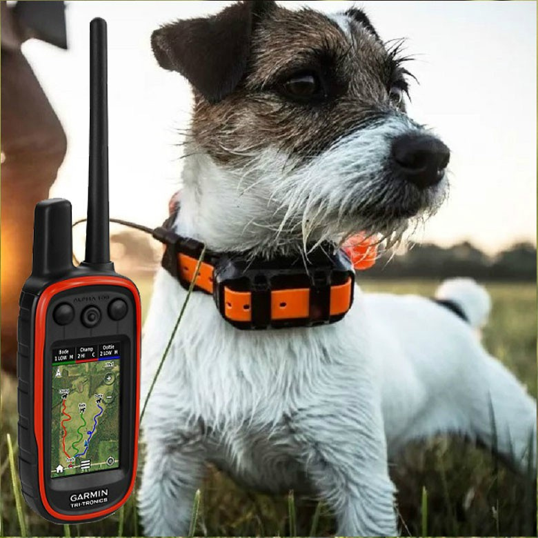 Garmin Alpha 100 T5 Mini Polish version Garmin Alpha 100 T5 Mini Polish version