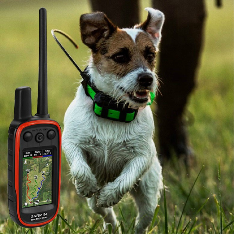 Garmin Alpha 100 TT15 Mini Garmin Alpha 100 TT15 Mini