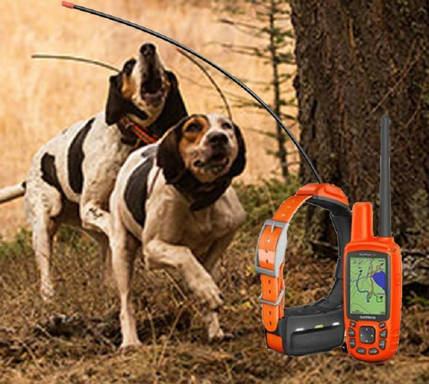 Garmin Alpha 50 T5 Garmin Alpha 50 T5