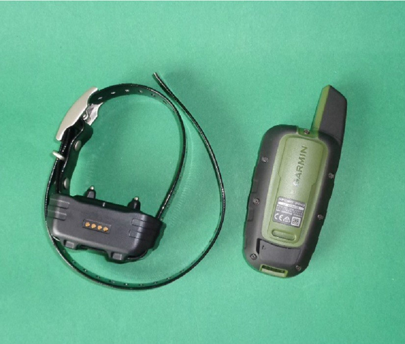 dog collar Garmin Sport PRO dog collar Garmin Sport PRO