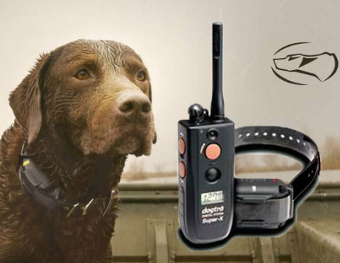 Dogtra 3500 NCP Dogtra 3500 NCP