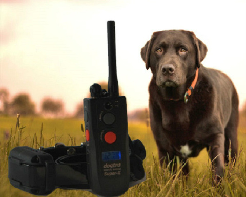 Dogtra 3500 NCP Dogtra 3500 NCP