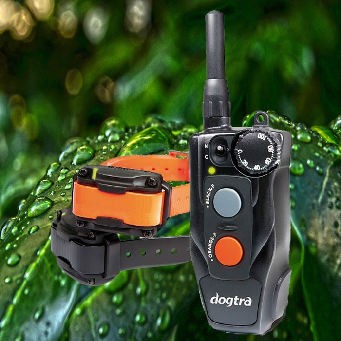 Dogtra 612C For 2 Dogs Dogtra 612C For 2 Dogs