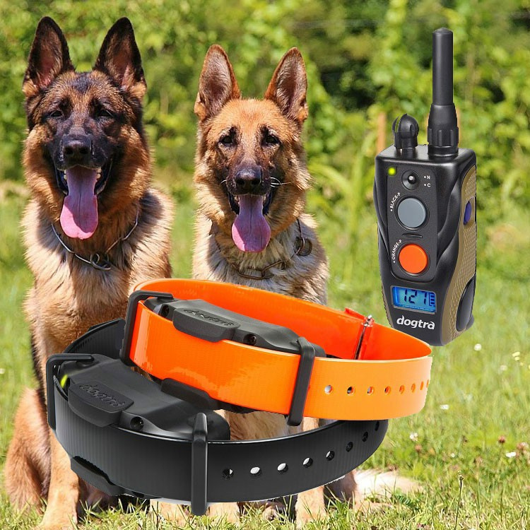 Dogtra ARC 1202S For 2 Dogs