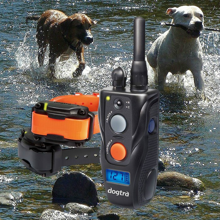 Dogtra 642C For 2 Dogs Dogtra 642C For 2 Dogs