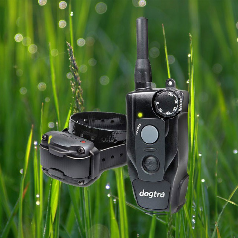Obroża elektryczna dla psa Dogtra 610C Obroża elektryczna dla psa Dogtra 610C