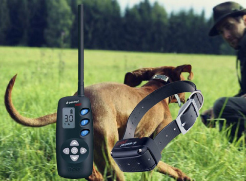 DOGTRACE d-control 1600+ for one dog DOGTRACE d-control 1600+ for one dog