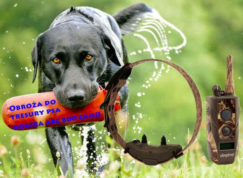 Dogtra ARC 800 CAMO Dogtra ARC 800 CAMO