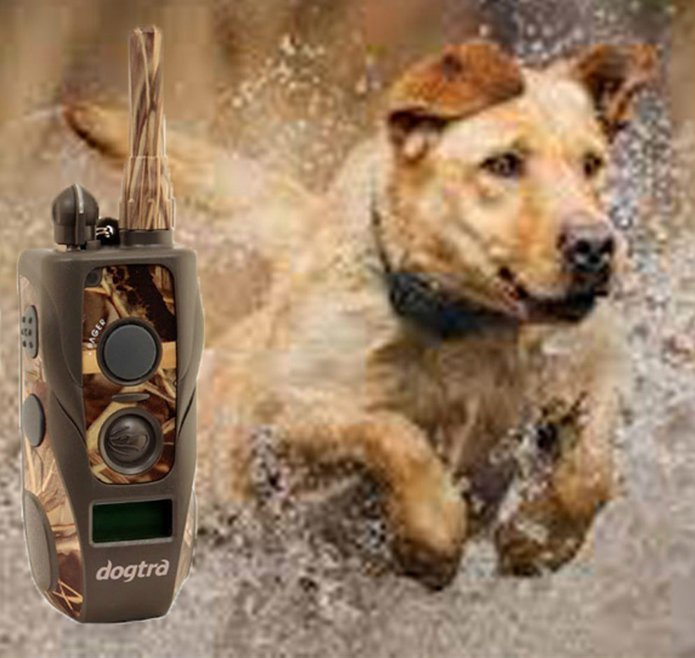 Dogtra ARC 800 CAMO Dogtra ARC 800 CAMO