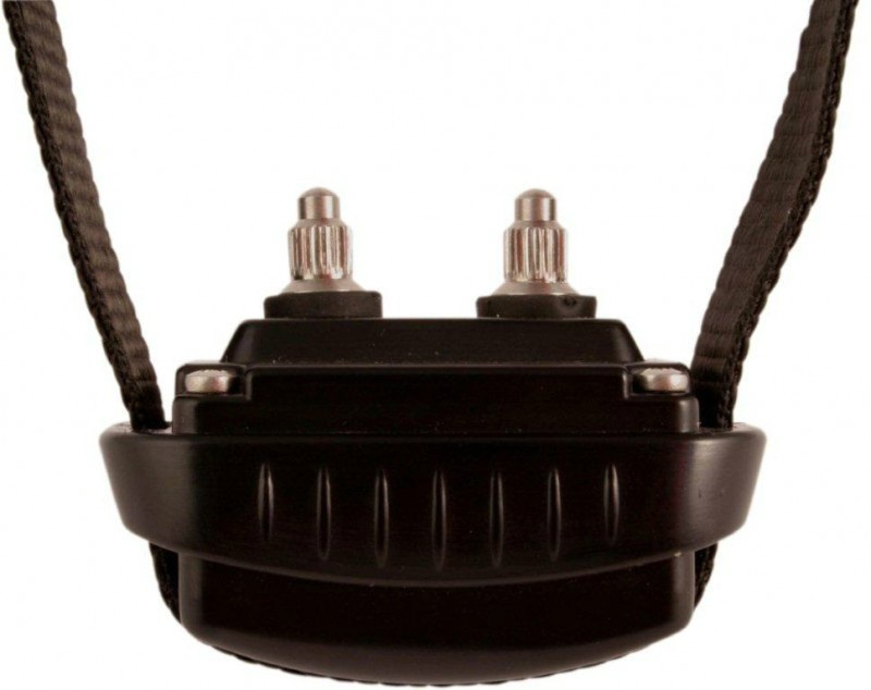 Dogtrace d-mute small light Dogtrace d-mute small light