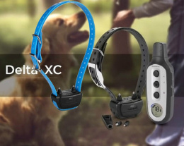 2 dog collar Garmin Delta XC 800
