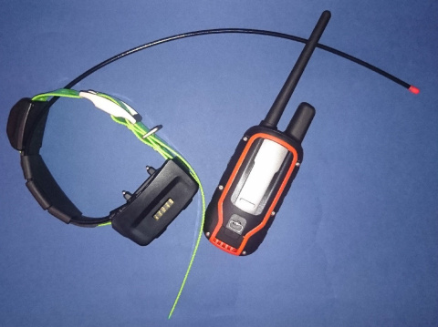 Alpha 100 z Garmin TT 15 (śledzenie + sygnalizacja świetlna + wibracja, dźwięk, stymulacja) Alpha 100 z Garmin TT 15 (śledzenie + sygnalizacja świetlna + wibracja, dźwięk, stymulacja)