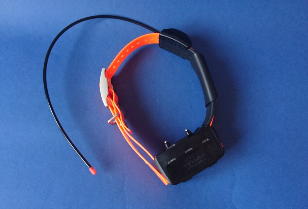 Garmin TT15 Polish version Garmin TT15 Polish version