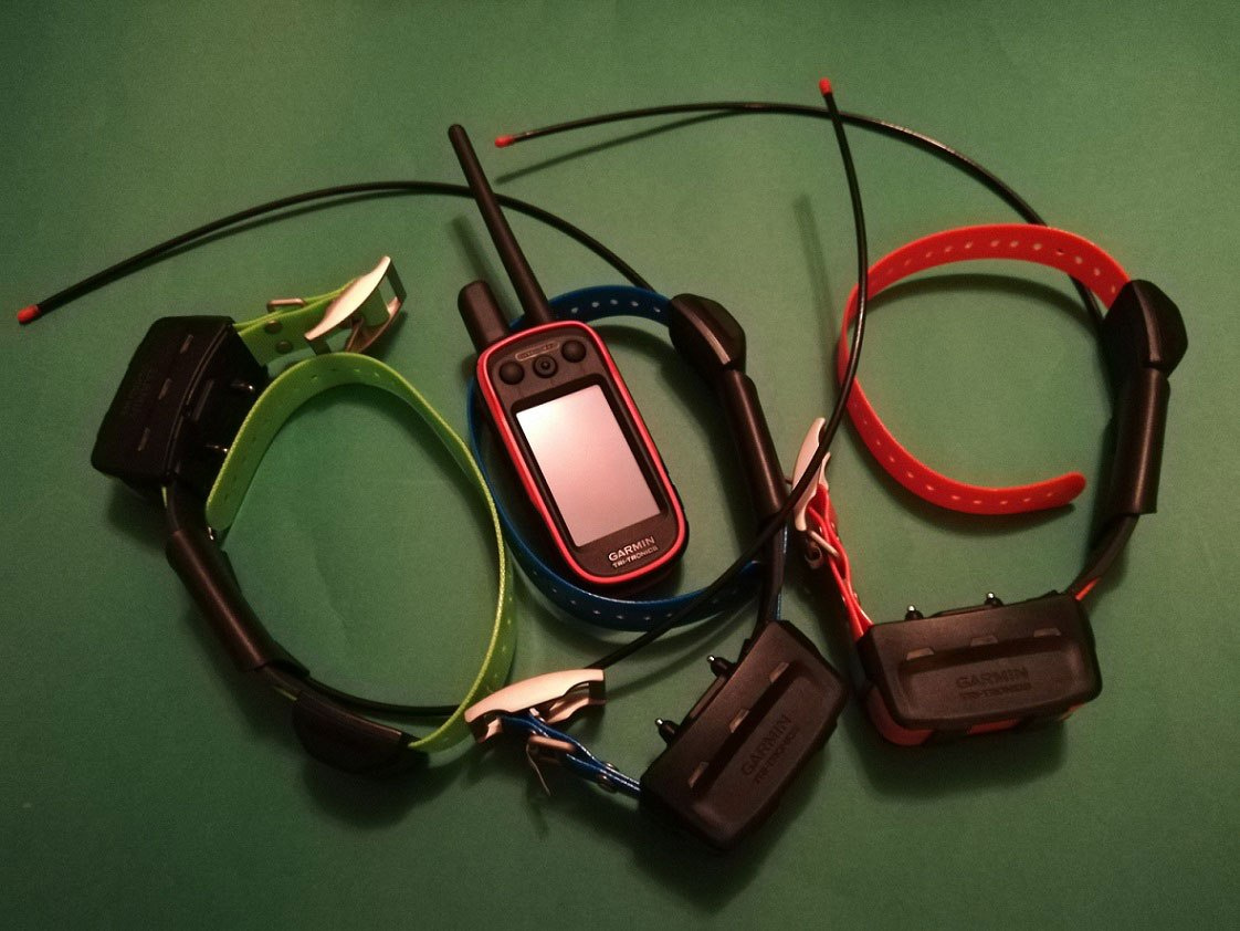 Alpha 100 z Garmin TT 15 Polish version Alpha 100 z Garmin TT 15 Polish version