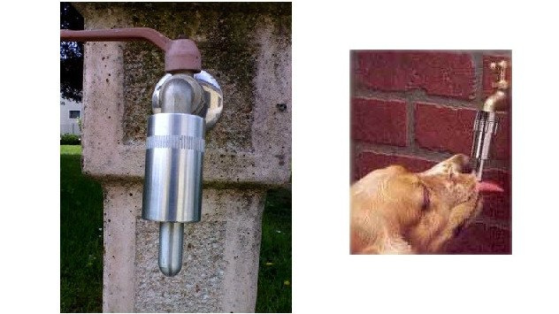 Teat for dog Teat for dog