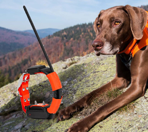 DOGtrace GPS X30 Additional Collar DOGtrace GPS X30 Additional Collar
