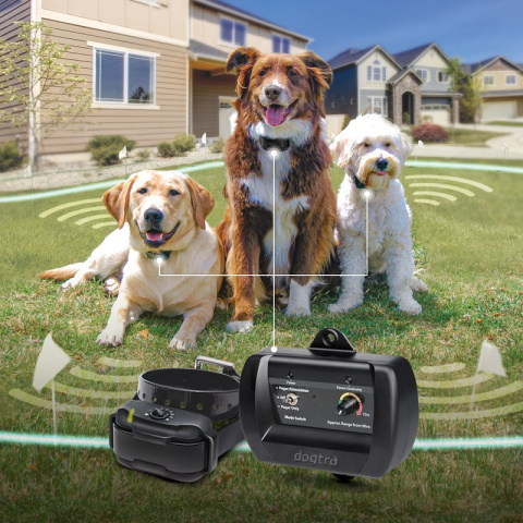 DOGTRA E-Fence 3500 for 2 dogs