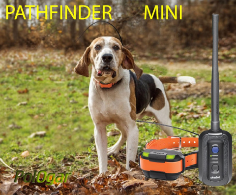 Dogtra Pathfinder mini GPS