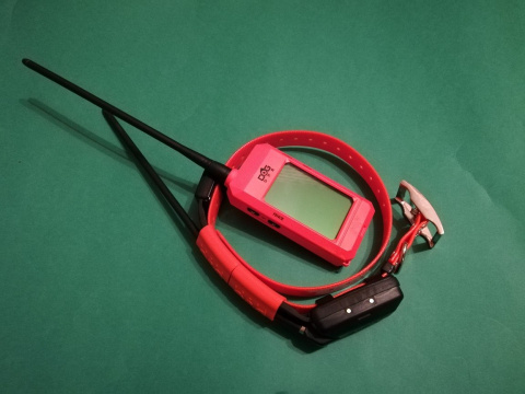 GPS for dog Dogtrace X30 GPS for dog Dogtrace X30