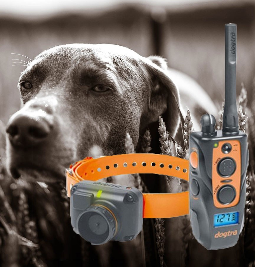 Dogtra 2500 T&B Training and Beeper Dogtra 2500 T&B Training and Beeper