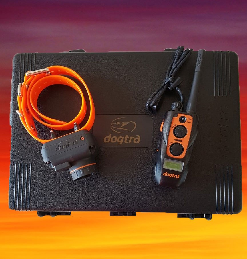 Dogtra 2500 T&B Training and Beeper Dogtra 2500 T&B Training and Beeper