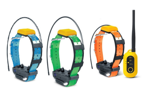 for 3 dogs Dogtra Pathfinder 2 for 3 dogs Dogtra Pathfinder 2