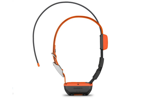collar Garmin Alpha T20 K collar Garmin Alpha T20 K