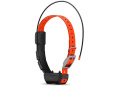 collar Garmin Alpha TT 25 K