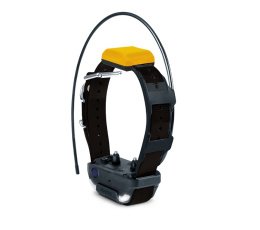 ADDITIONAL GPS COLLAR dogtra PATHFINDER 2 BLACK