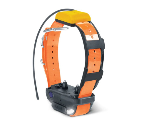 ADDITIONAL GPS COLLAR dogtra PATHFINDER 2 orange ADDITIONAL GPS COLLAR dogtra PATHFINDER 2 orange