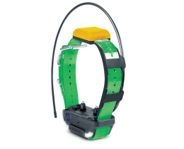 ADDITIONAL GPS COLLAR dogtra PATHFINDER 2 green