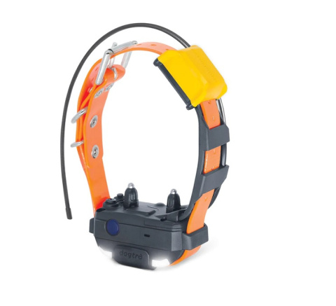 dogtra mini PATHFINDER 2 orange dogtra mini PATHFINDER 2 orange