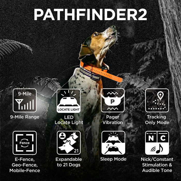 Dogtra Pathfinder 2 GPS