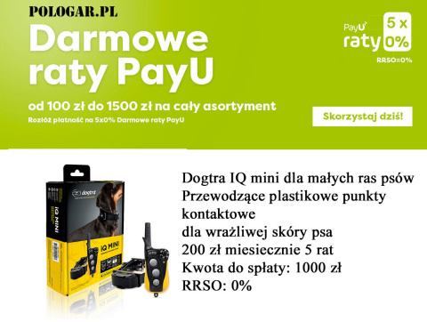 Dogtra IQ plus Dogtra IQ plus