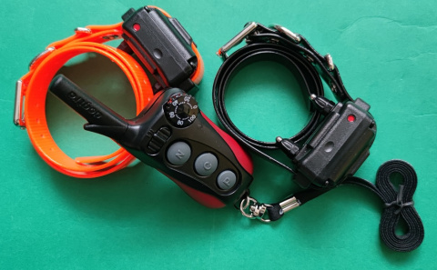 Dogtra IQ plus 2 DOGS Dogtra IQ plus 2 DOGS
