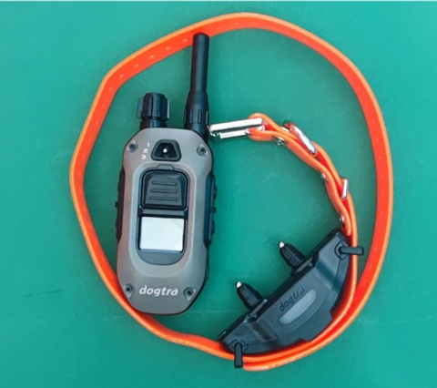 Pomarańczowa Obroża elektryczna Dogtra ARC-X Stymulacja Sygnał dźwiękowy Wibracja Światło lokalizacji
