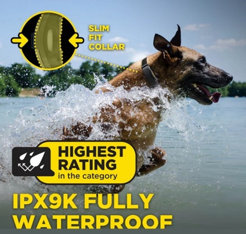 Obroża elektryczna Dogtra ARC-X hf