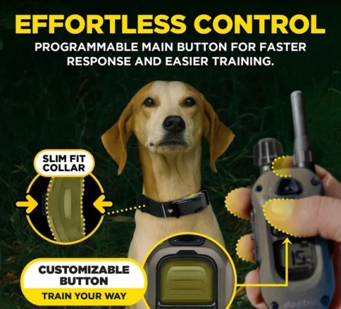 Obroża elektryczna Dogtra ARC-X hf