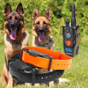 Dogtra ARC 1902S For 2 Dogs
