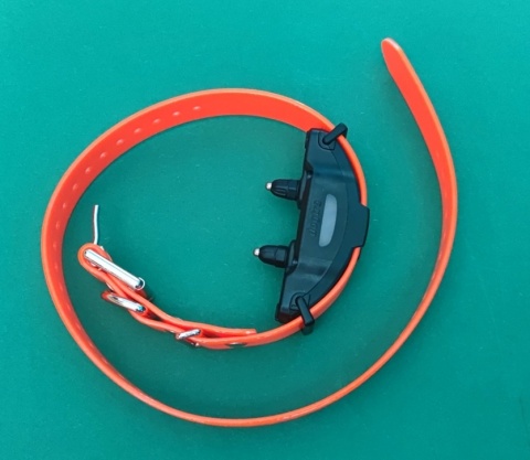 pomarańczowa dodatkowa Obroża elektryczna Dogtra ARC-X