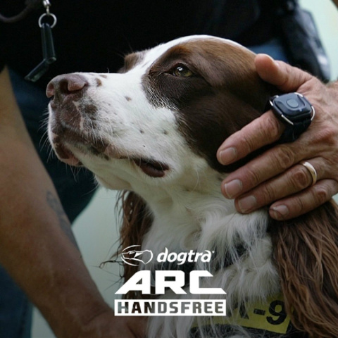 Dla 2 psów obroże elektrycze Dogtra ARC 802 Handsfree PLUS Dla 2 psów obroże elektrycze Dogtra ARC 802 Handsfree PLUS