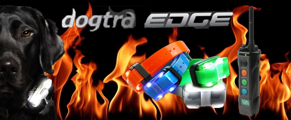 obroża elektryczna dogtra edge