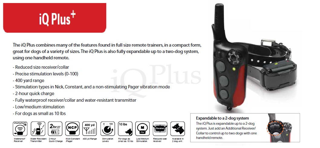 Dogtra IQ plus