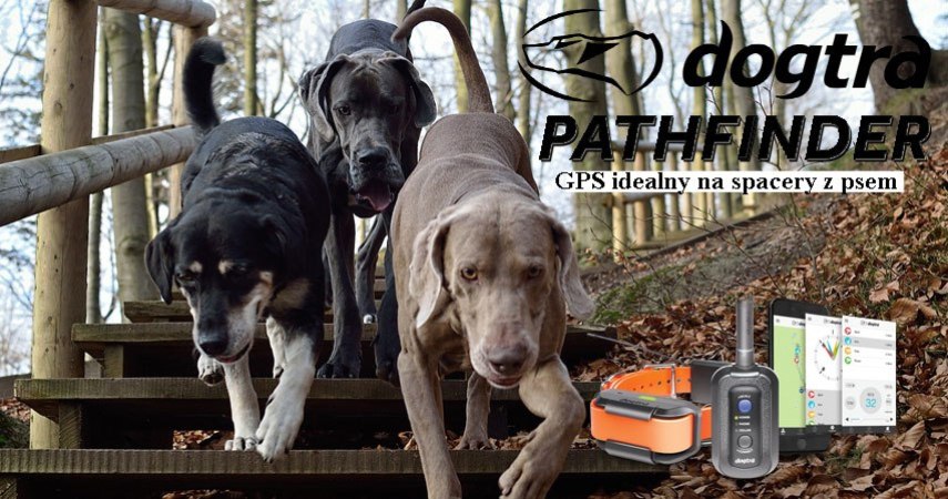 dogtra-pathfinder-gps-dla-psa